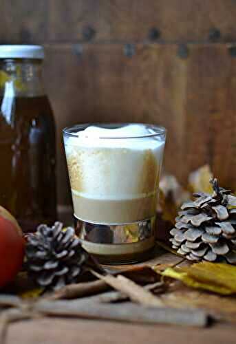 Sirop de courge - pumpkin spice syrup