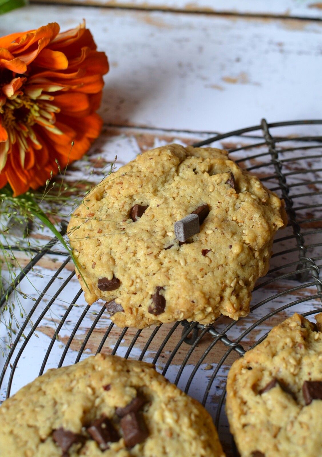Biscuits sésame chocolat #sans oeuf #sans beurre