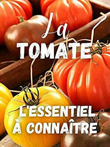La TOMATE : L’Essentiel à Connaître