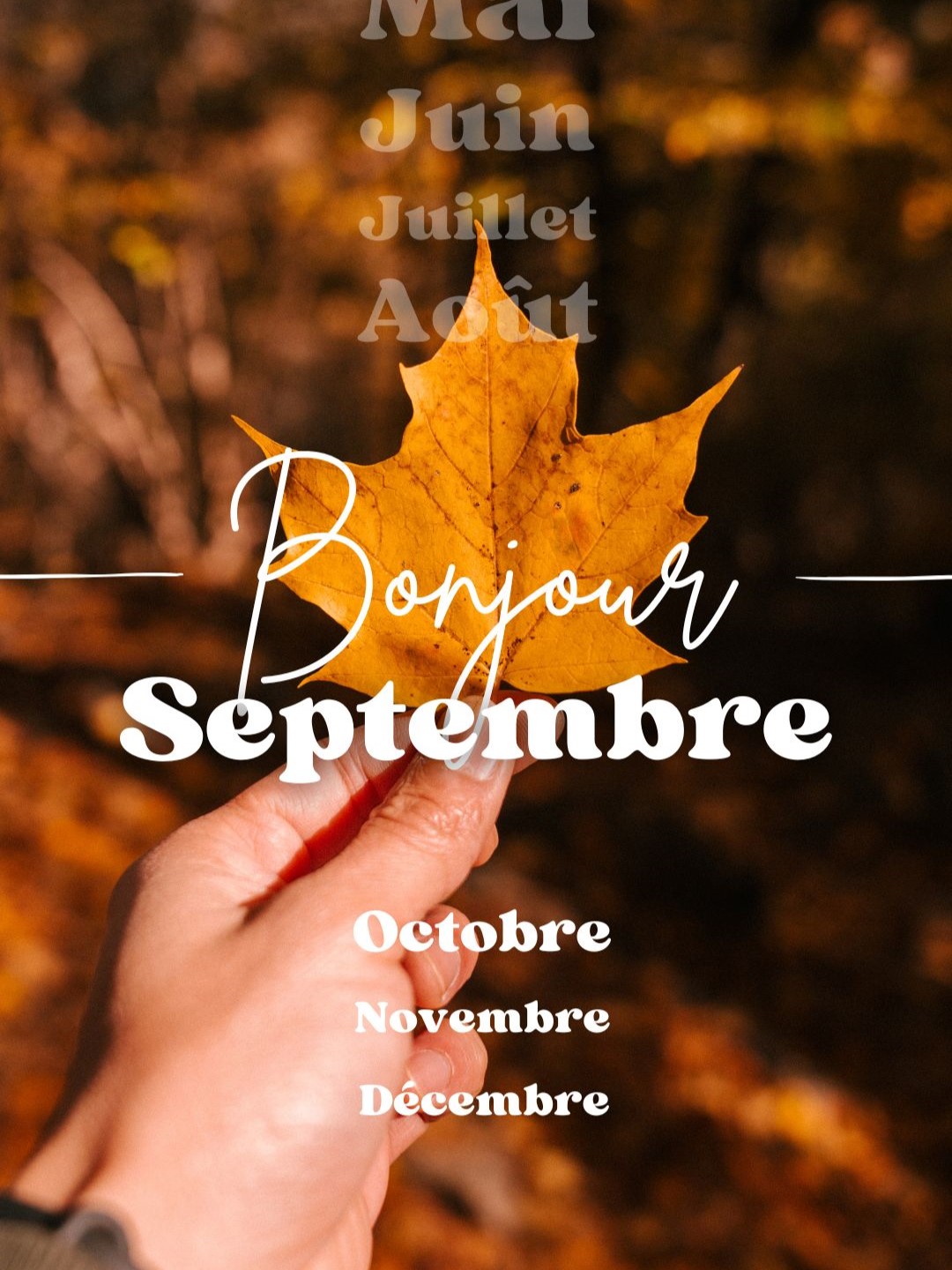Bonjour OCTOBRE !