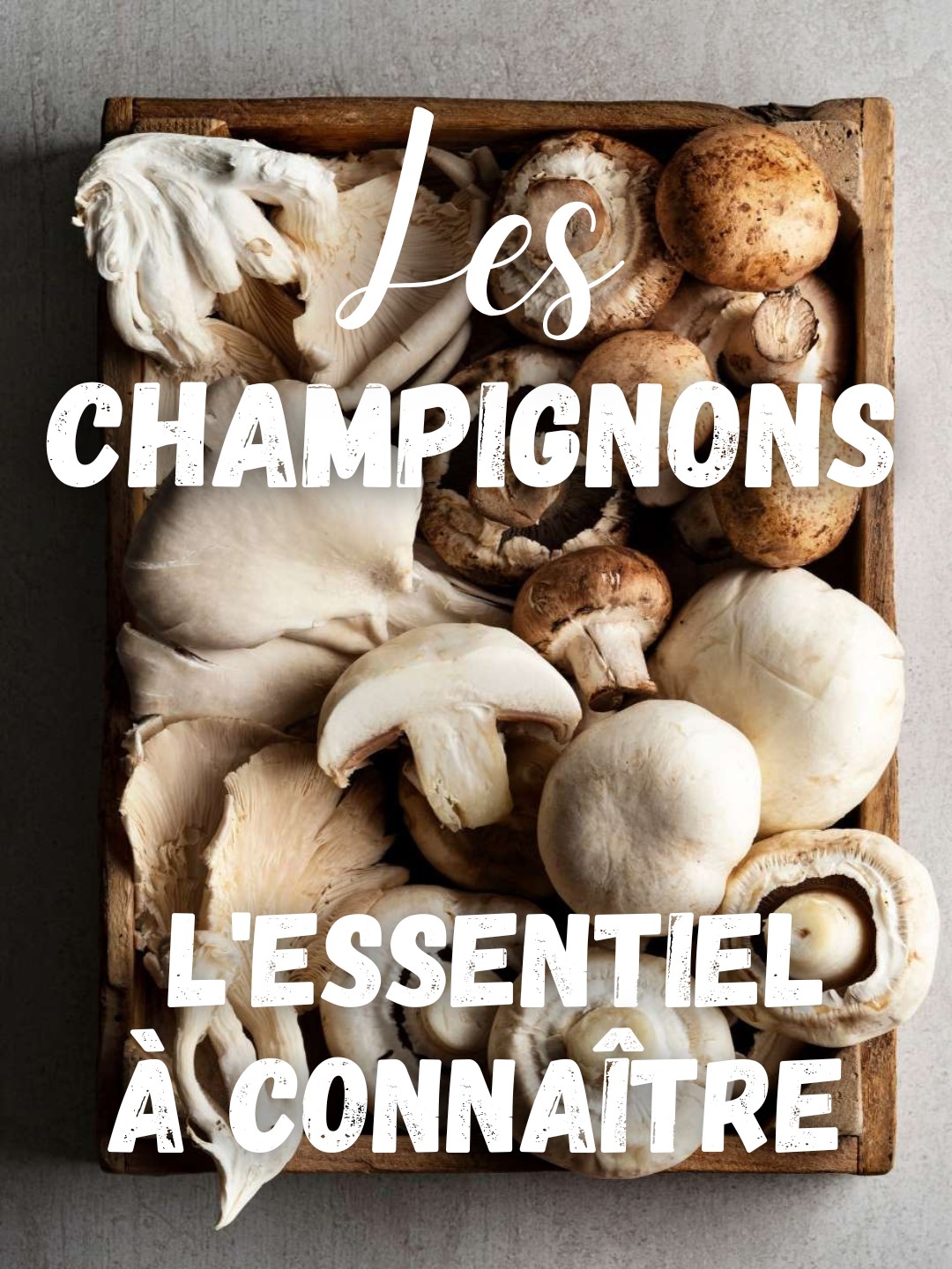 Les CHAMPIGNONS : L’Essentiel à Connaître (+ Recettes)