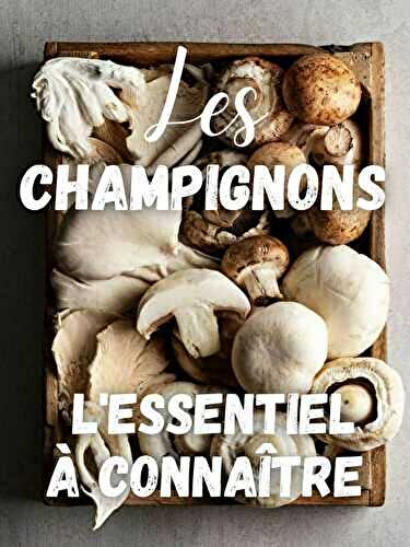 Les CHAMPIGNONS : L’Essentiel à Connaître (+ Recettes)