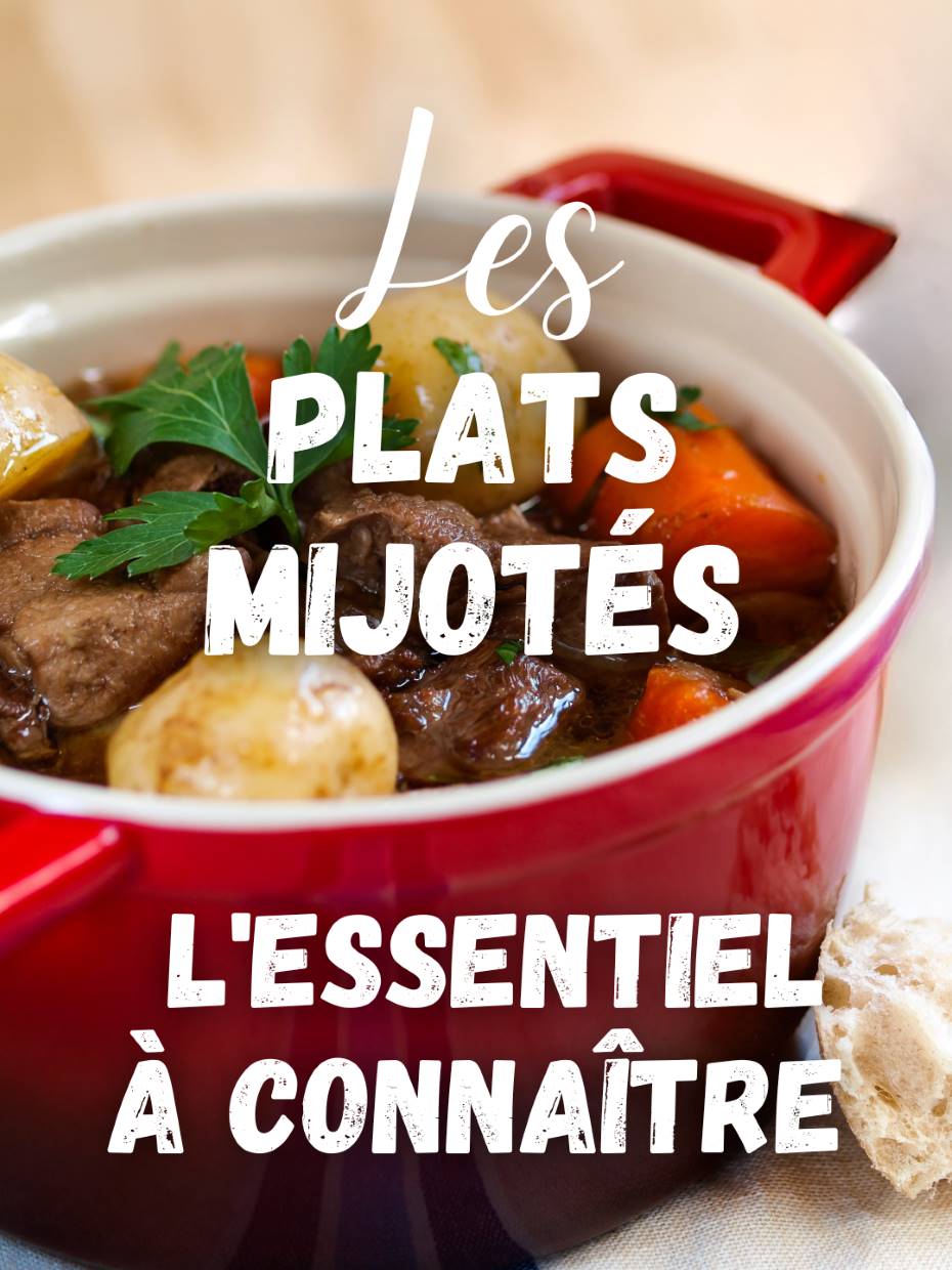 Les PLATS MIJOTÉS : L’Essentiel à Connaître (+ Recettes)