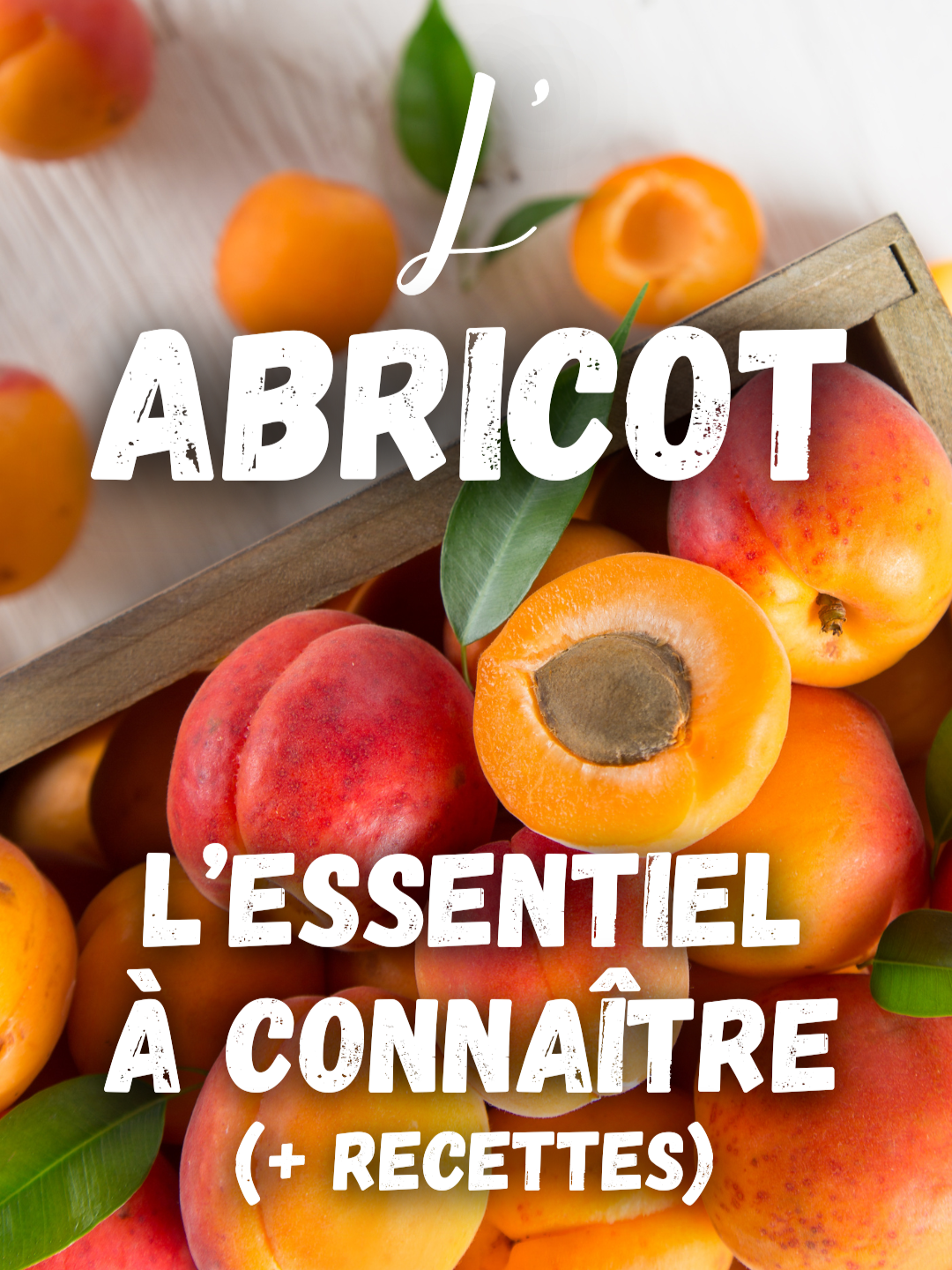 L’Abricot : l’essentiel à connaître (+ recettes)