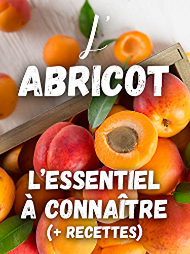 L’Abricot : l’essentiel à connaître (+ recettes)