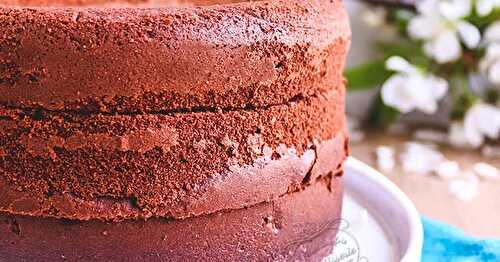 Molly cake au chocolat