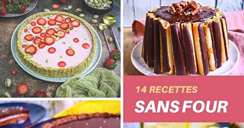 14 idées de recettes de desserts sans four