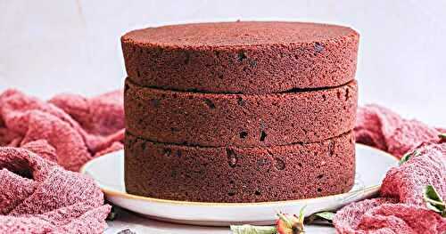Gâteau au chocolat moelleux pour layer cakes