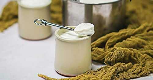 Recette de yaourts à la vanille maison : bien fermes !