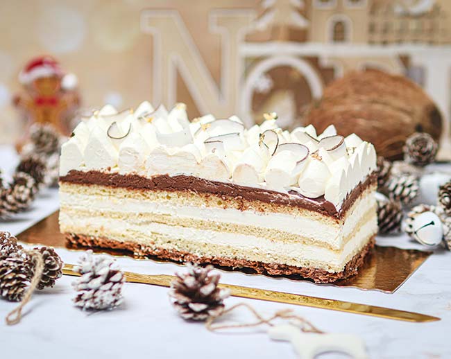 Bûche chocolat noix de coco