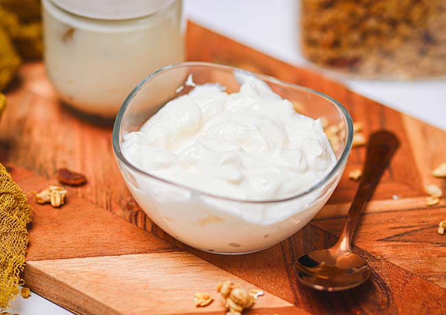 Skyr maison