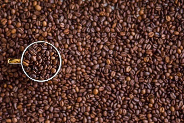 Le marc de café à la maison – 20 astuces pour savoir comment l’utiliser