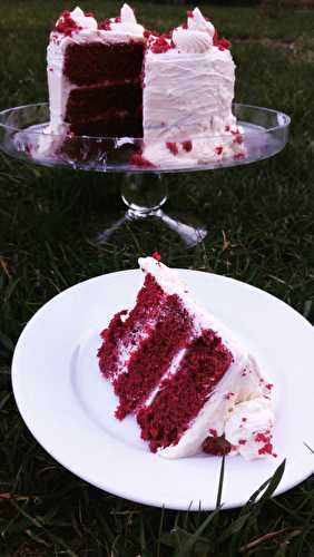 Entremets et gâteaux de fête