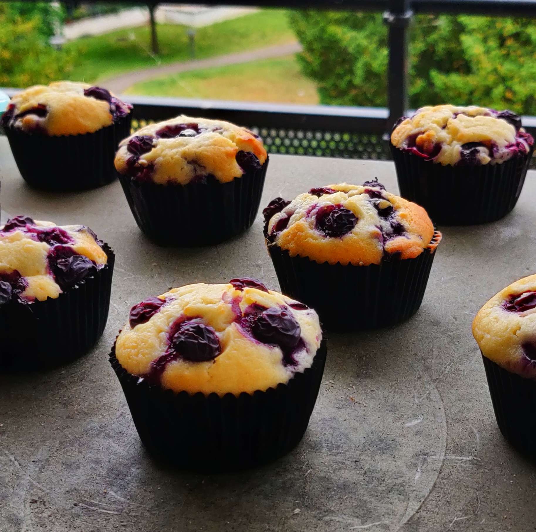 Muffins aux myrtilles