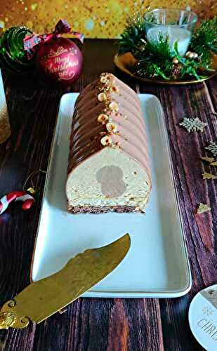 Bûche praliné/chocolat au lait