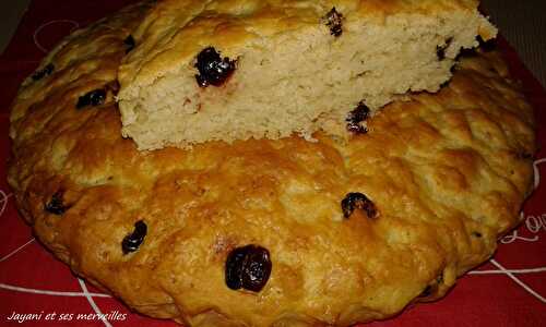 Brioche aux cranberries