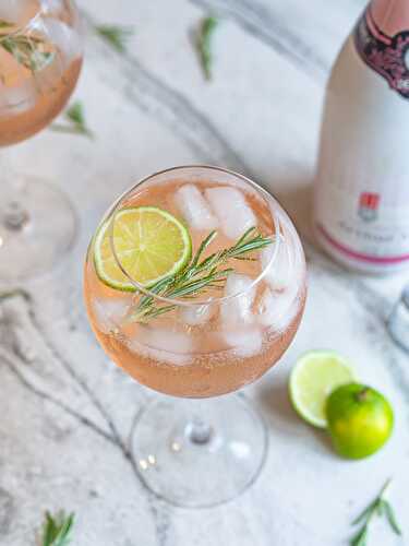 Gin Ton'Ice rosé Arthur Metz