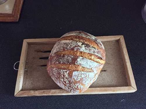 Pâte à Pain au levain bio