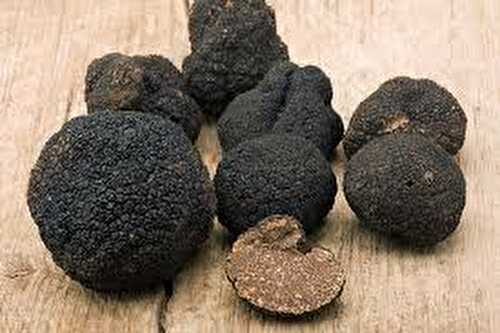 5 minutes pour tout savoir sur la truffe