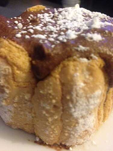 CHARLOTTE CHOCOLAT RAPIDE