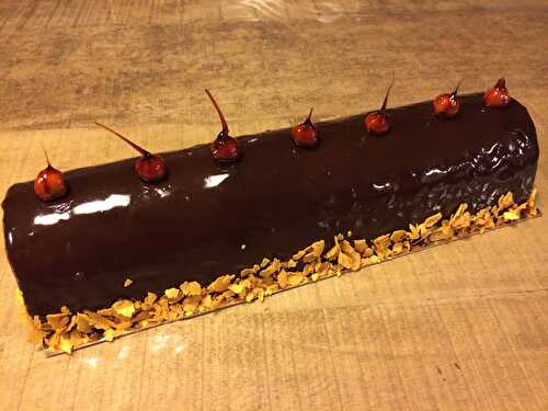 Je Bûche de Noël  oui mais  BÛCHE CHOCOLAT, PRALIN ET FRUIT DE LA PASSION!!!