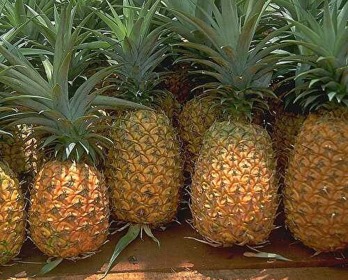 Recette ananas   » pour des petites nanas »
