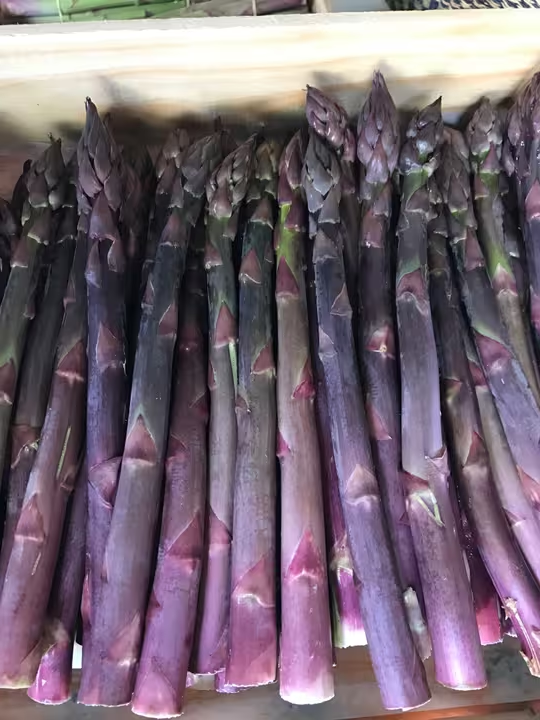 Les asperges vertes et pourpres du Luberon