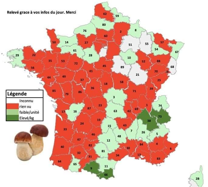 Cèpes, Morilles… Une Carte des Coins à Champignons Élaborée par un Géologue Ariégeois Divise les Cueilleurs