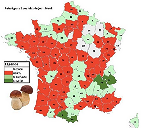 Cèpes, Morilles… Une Carte des Coins à Champignons Élaborée par un Géologue Ariégeois Divise les Cueilleurs