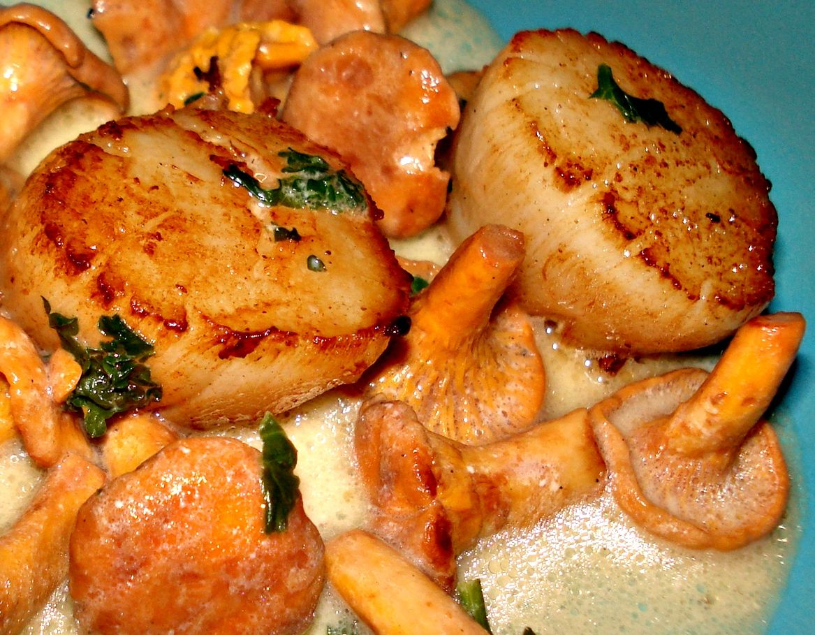 Saint-Jacques en Coquille aux Girolles