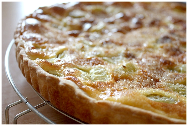 Tarte à la Rhubarbe Fondante : La Meilleure Recette