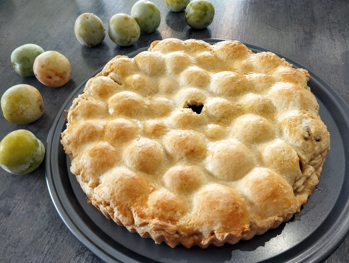 Tourte aux Prunes Angevine
