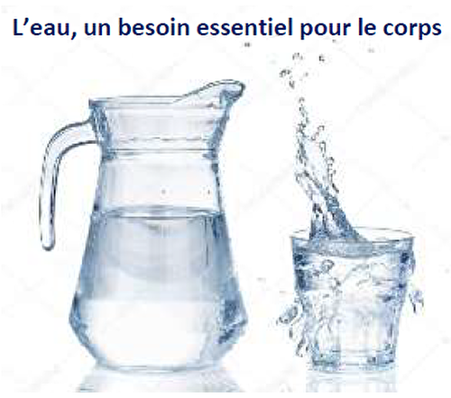 L’eau, un besoin essentiel pour le corps