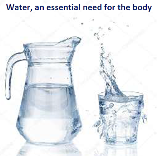 Water, an essential need for the body