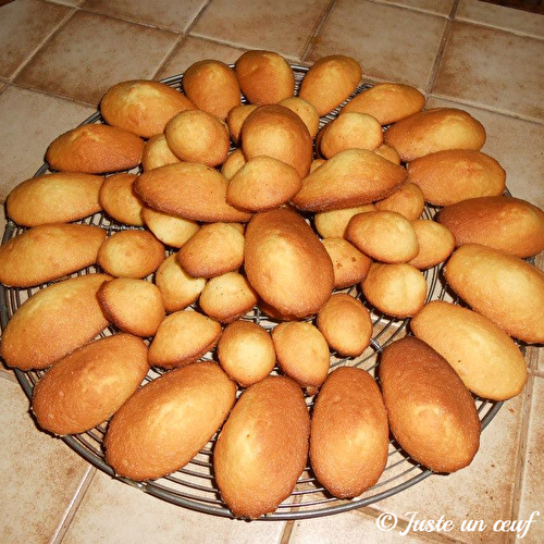 ? Calendrier de l'Avent gourmand ? Case 8 : Traditionnelles Madeleines