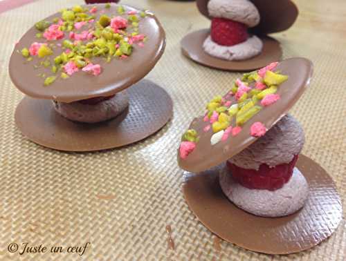 Palets chocolat framboise