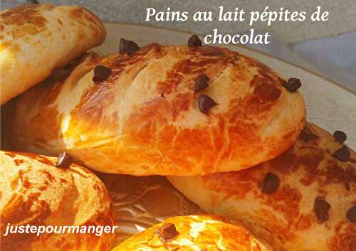 Pains au lait pépites de chocolat