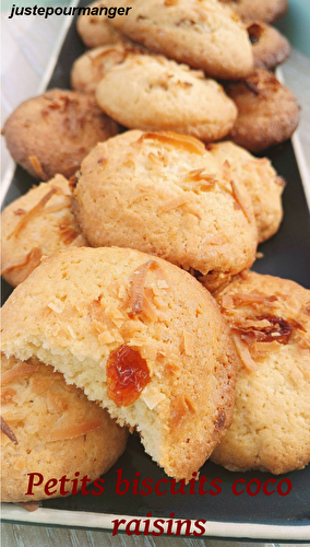 Petits biscuits à la noix de coco et aux raisins secs