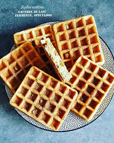 Gaufres au lait fermenté Spéculoos