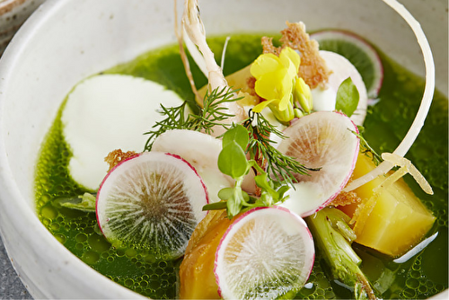 Bouillon de fines herbes au yaourt grec et aux radis