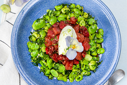 Tartare de boeuf au thon rouge, crème de wasabi, salade de fèves