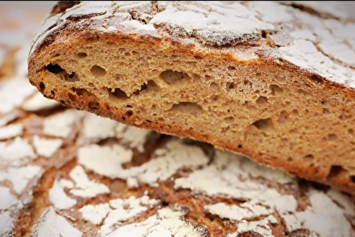 Tourte aux trois céréales