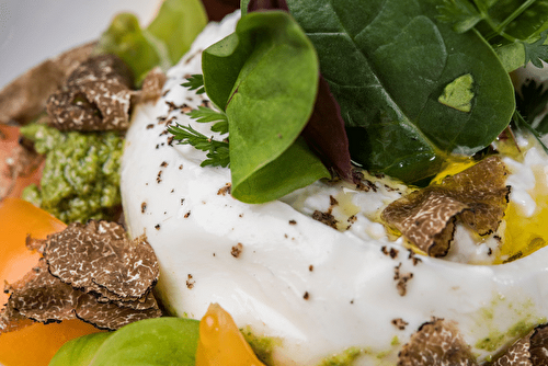 Burrata crémeuse et pesto à la truffe