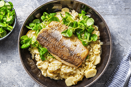 Risotto à la racine de persil et filet de merlu