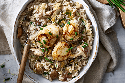 Risotto aux champignons et Saint-Jacques