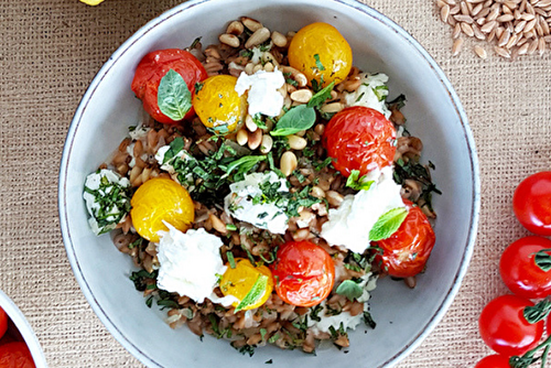 Salade de farro aux tomates confites