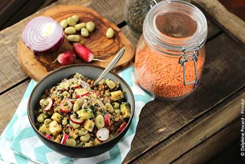 Salade de lentilles et fèves aux radis