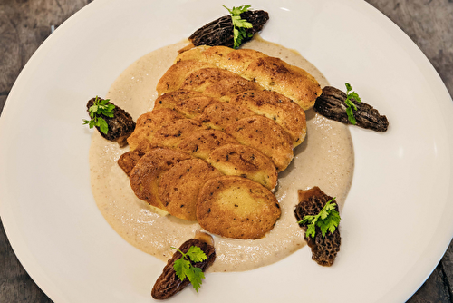 Dos de sandre en écailles de quenelles à l’Emmental et aux morilles, sauce aux morilles et vin jaune