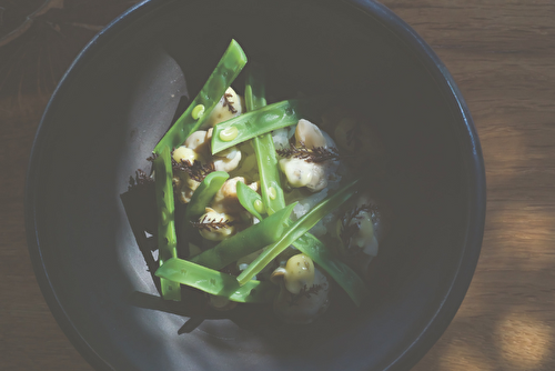 Donburi aux haricots, bulots et mayo