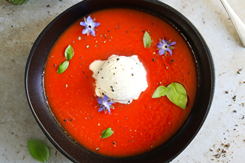 Gaspacho de tomates à la glace d’artichaut cardinal